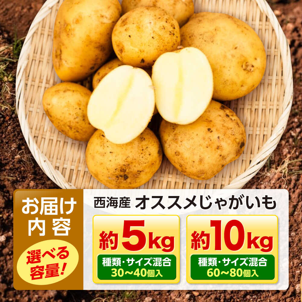 【ふるさと納税】 【先行予約】勝田農園のおまかせ じゃがいも 約5kg・約10kg（種類・サイズ混合）＜勝田農園＞[CGM003] おまかせじゃがいも サイズ混合 詰め合わせ ジャガイモ 食べ比べ 野菜 産地直送 - 画像3