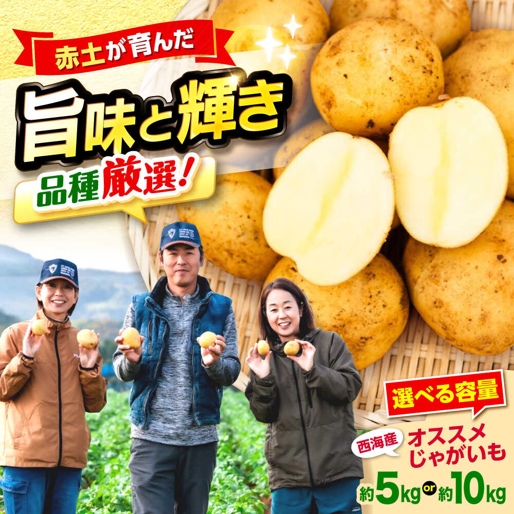 【先行予約】勝田農園のおまかせ じゃがいも 約5kg・約10kg（種類・サイズ混合）＜勝田農園＞[CGM003] おまかせじゃがいも サイズ混合 詰め合わせ ジャガイモ 食べ比べ 野菜 産地直送
