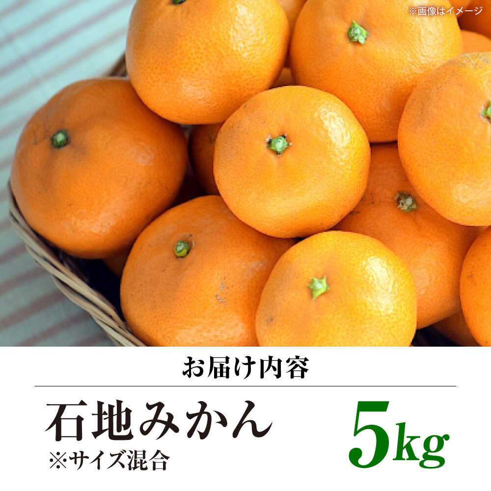 【ふるさと納税】【12月中旬より配送開始】 石地みかん 約5kg （S,Mサイズ混合）＜濱崎ファーム＞[CGT003] 長崎 西海 みかん 蜜柑 ミカン 柑橘 果物 フルーツ デザート 石地みかん 贈答 ギフト 石地みかん サムネイル3