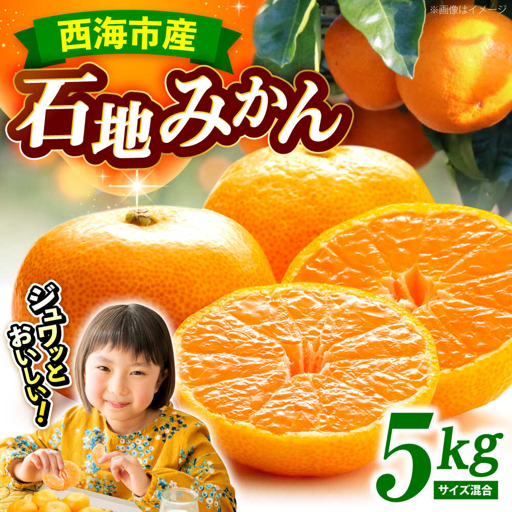 【12月中旬より配送開始】 石地みかん 約5kg （S,Mサイズ混合）＜濱崎ファーム＞[CGT003] 長崎 西海 みかん 蜜柑 ミカン 柑橘 果物 フルーツ デザート 石地みかん 贈答 ギフト 石地みかん