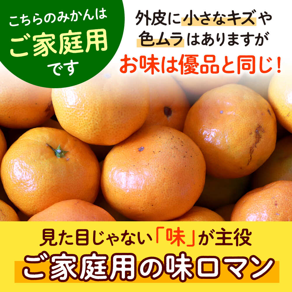 【ふるさと納税】【11月下旬より配送】【ご家庭用】 長崎味ロマン みかん 約5kg ＜長崎西彼農業協同組合＞[CGU001] 長崎 西海 みかん 柑橘 ミカン 温州みかん 蜜柑 甘い 高糖度 贈答 ギフト サムネイル2