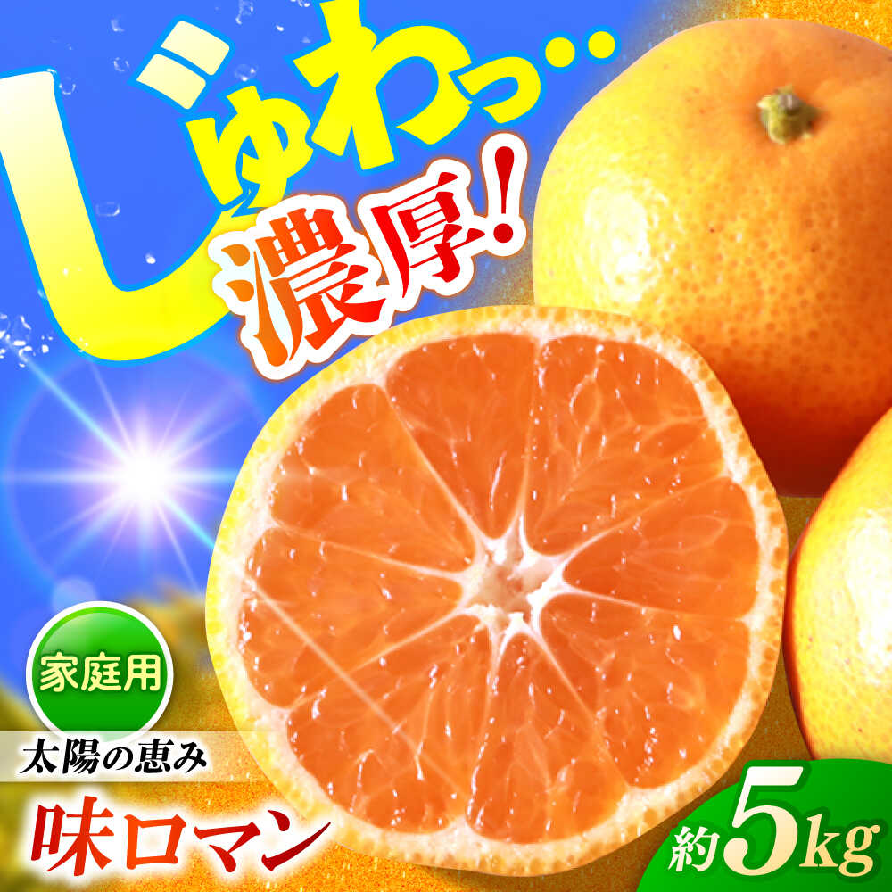 【11月下旬より配送】【ご家庭用】 長崎味ロマン みかん 約5kg ＜長崎西彼農業協同組合＞[CGU001] 長崎 西海 みかん 柑橘 ミカン 温州みかん 蜜柑 甘い 高糖度 贈答 ギフト