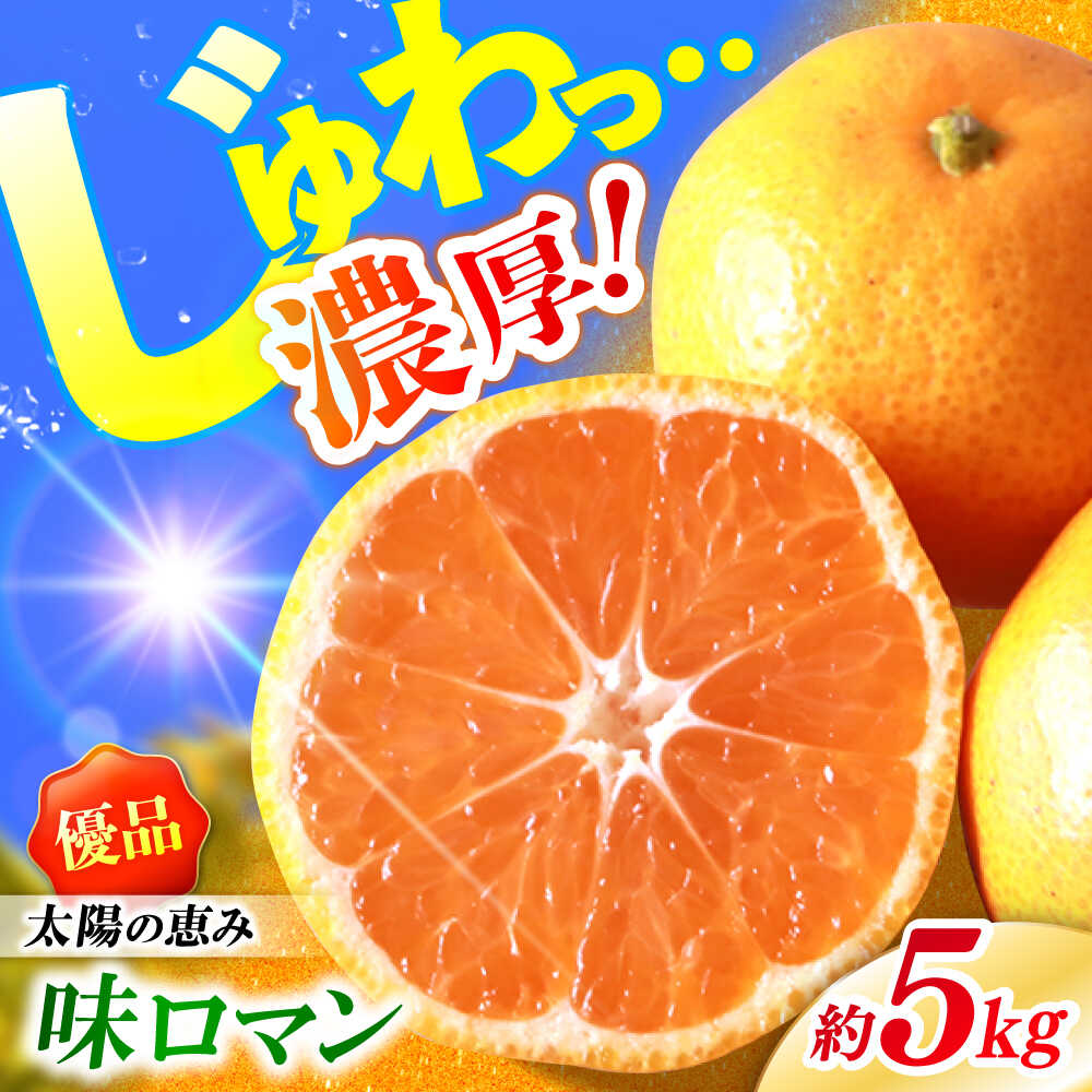 【11月下旬より配送】【優品】 長崎 味ロマン みかん 約5kg＜長崎西彼農業協同組合＞[CGU002] 長崎 西海 みかん 柑橘 ミカン 温州みかん 蜜柑 甘い 高糖度 贈答 ギフト