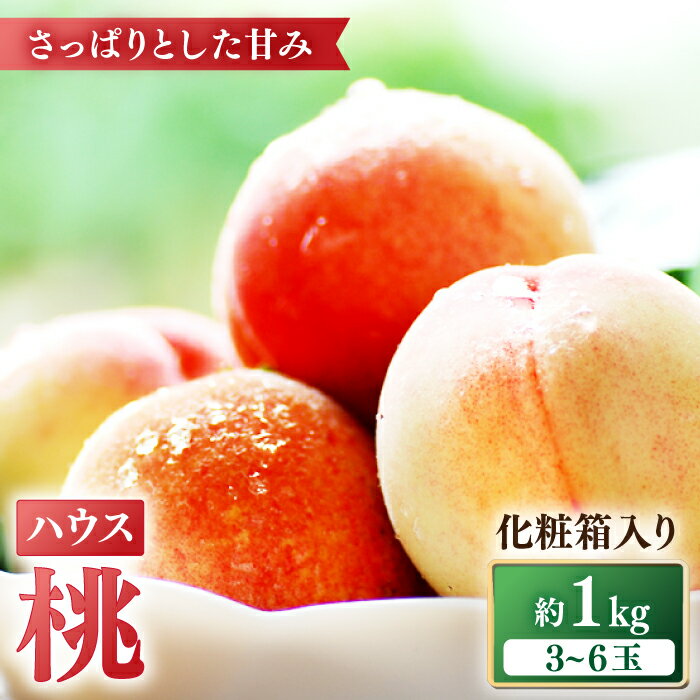 【2026年5月下旬～発送】桃 特別栽培ハウスもも 約1kg 化粧箱入り / 桃 もも モモ フルーツ 果物 旬 / 南島原市 / ふくはちファーム [SBS005]