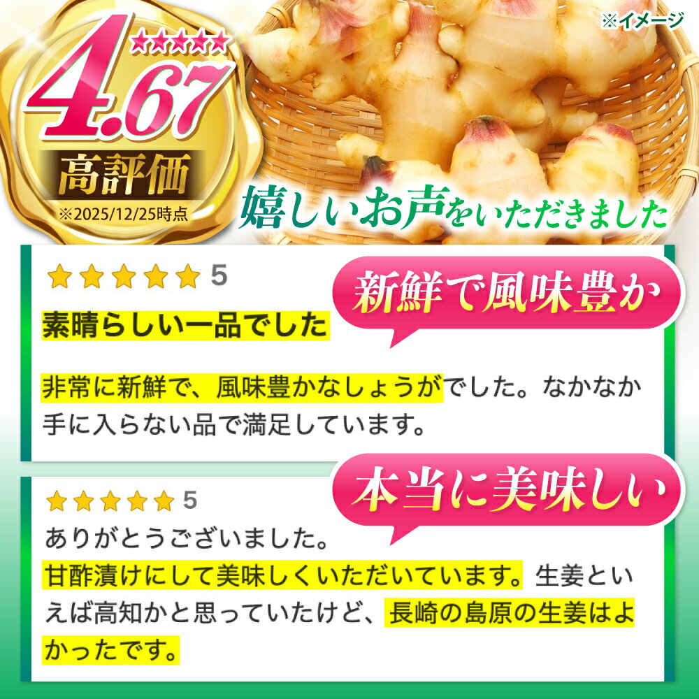 【ふるさと納税】【2026年8月〜発送】新生姜 約4kg / ショウガ しょうが 生姜 / 南島原市 / ふくはちファーム/福島農園 [SBS018] - 画像2