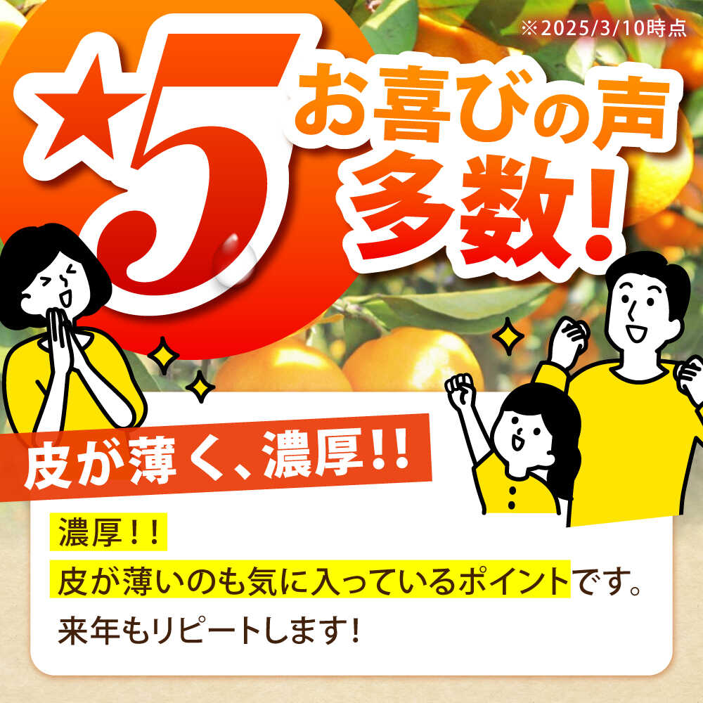 【ふるさと納税】【2025年10月下旬〜発送】温州みかん 5kg / みかん ミカン 蜜柑 フルーツ 甘い 果物 / 南島原市 / 蜜柑屋まつお [SCQ001] サムネイル2