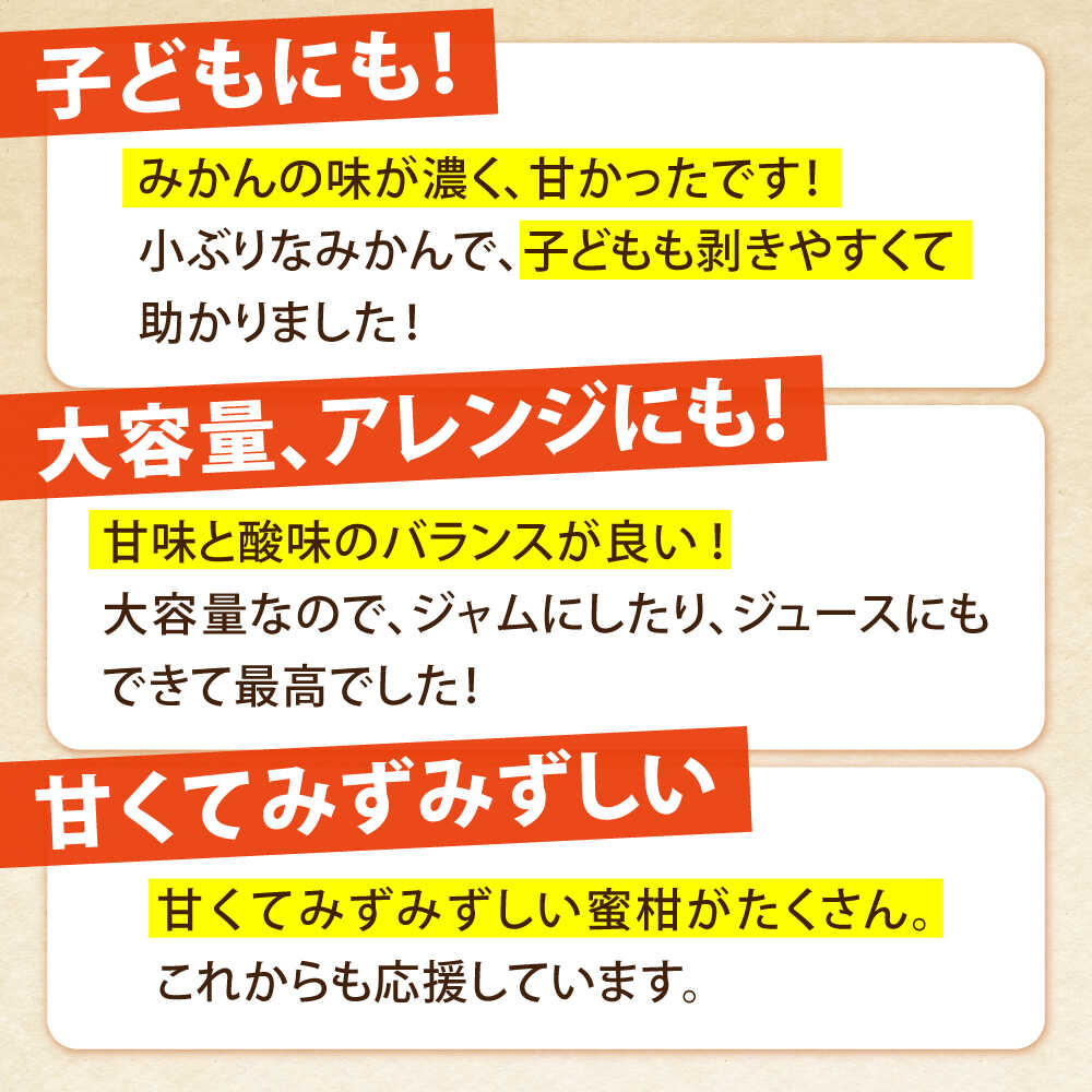 【ふるさと納税】【2025年10月下旬〜発送】温州みかん 5kg / みかん ミカン 蜜柑 フルーツ 甘い 果物 / 南島原市 / 蜜柑屋まつお [SCQ001] サムネイル3