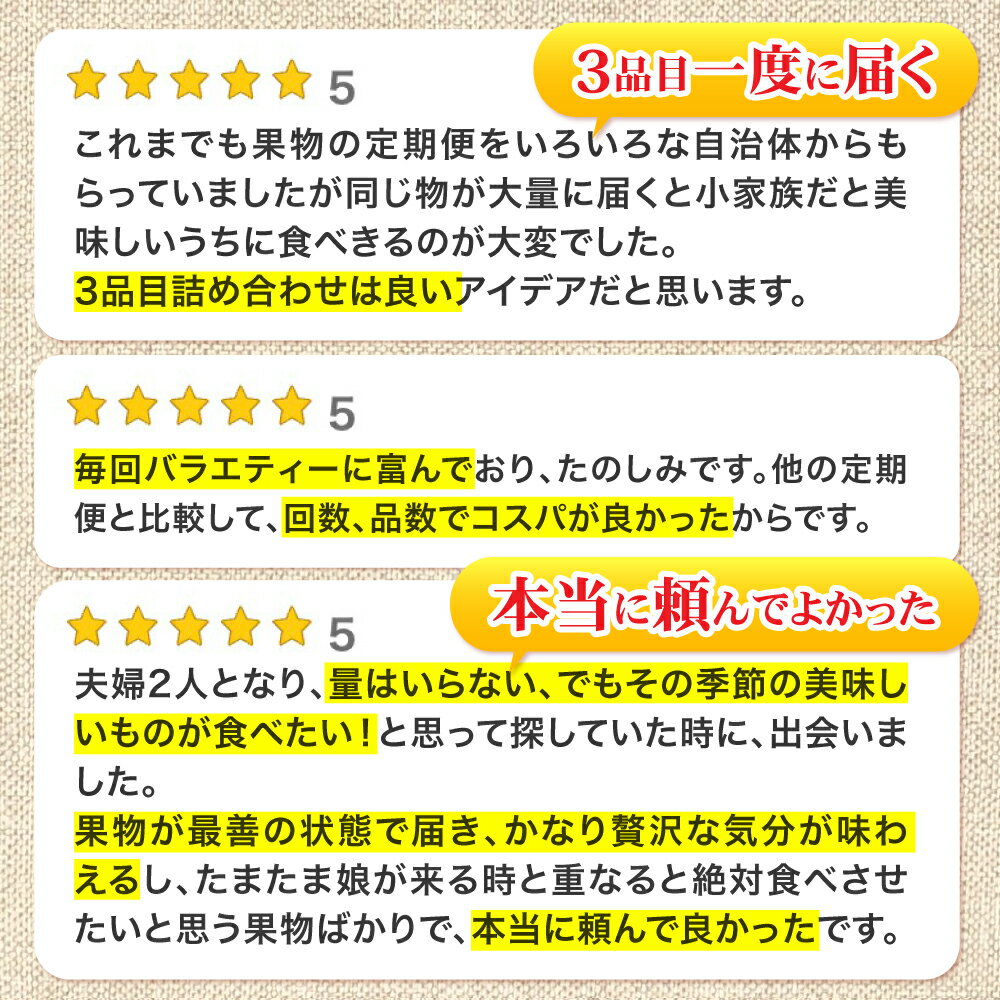 【ふるさと納税】【12回定期便】フルーツ定期便 旬の果物をお任せで2〜3品目お届け（2〜3品目×12回）季節の果物 詰め合わせ 果物 セット / 定期便 フルーツ 果物 春フルーツ 夏フルーツ 秋フルーツ 冬フルーツ / 南島原市 / 吉岡青果 [SCZ014] サムネイル3