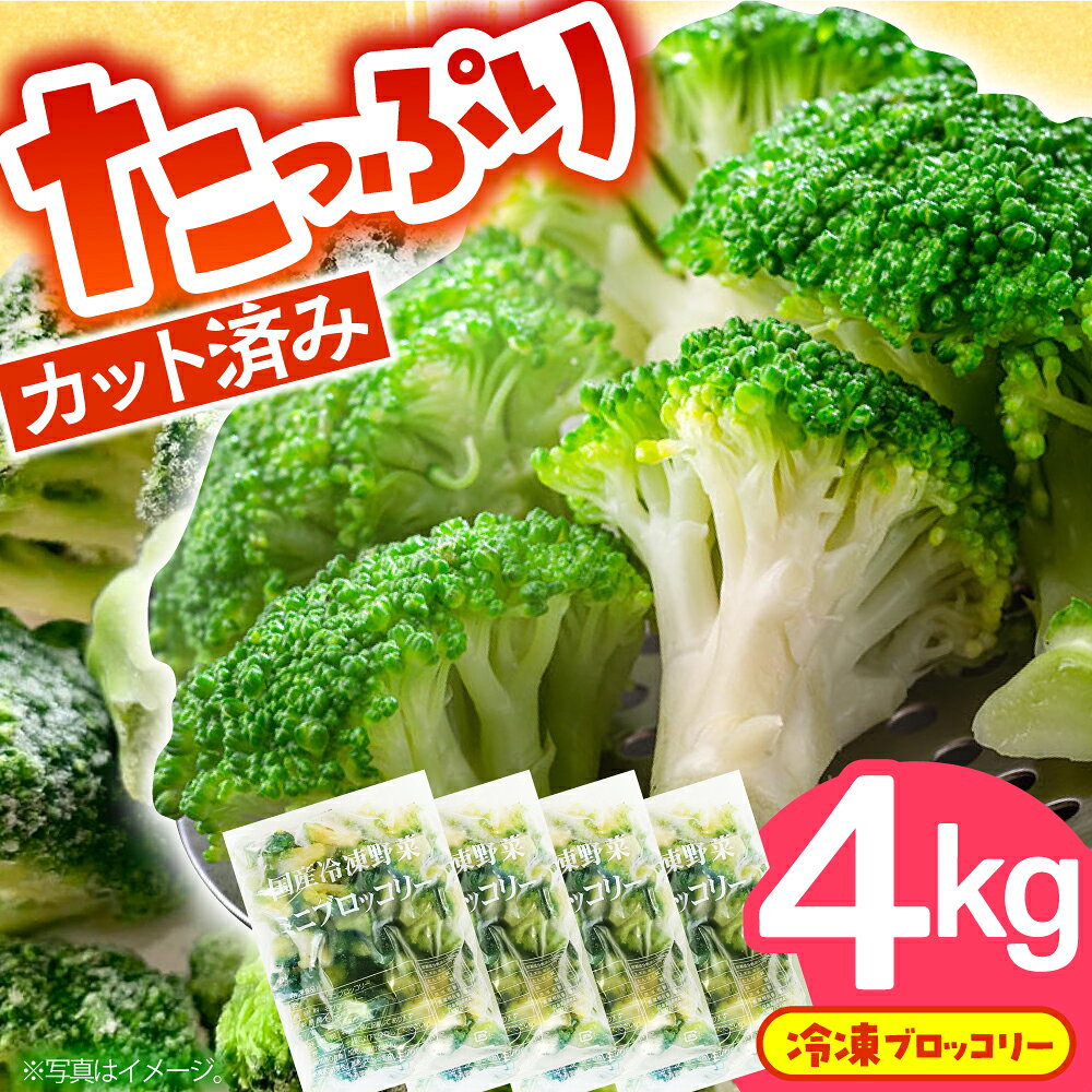 たっぷり 冷凍 ブロッコリー 4kg（1kg × 4袋） / ブロッコリー ぶろっこりー 野菜 やさい 小分け 冷凍 筋トレ トレーニング / 南島原市 / 池田海陸物産[SEW008]
