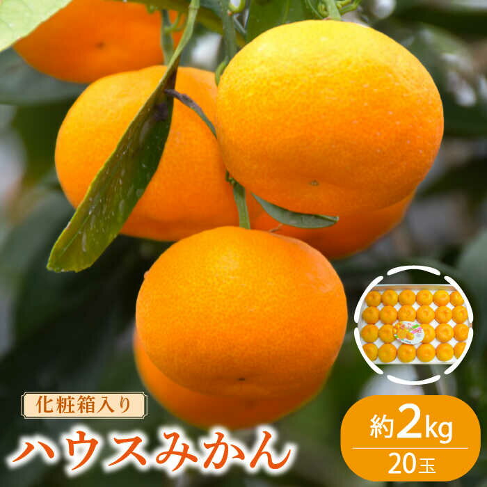 【2026年6月中旬〜発送】ハウス みかん 約2kg / みかん ミカン 蜜柑 果物 フルーツ 贈答用 化粧箱 / 南島原市 / 島原雲仙農業協同組合 東南部基幹センター [SAC003]