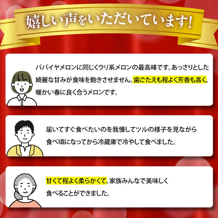 【ふるさと納税】【2026年3月中旬〜発送】【平成新山メロンPREMIUM（とみちゃん厳選）】しらかばメロン 5玉〜8玉 約5kg / メロン めろん 青肉 糖度 果物 くだもの フルーツ ふるーつ 旬 高級 ギフト / 南島原市 / うえだメロン園 [SAD002] サムネイル3