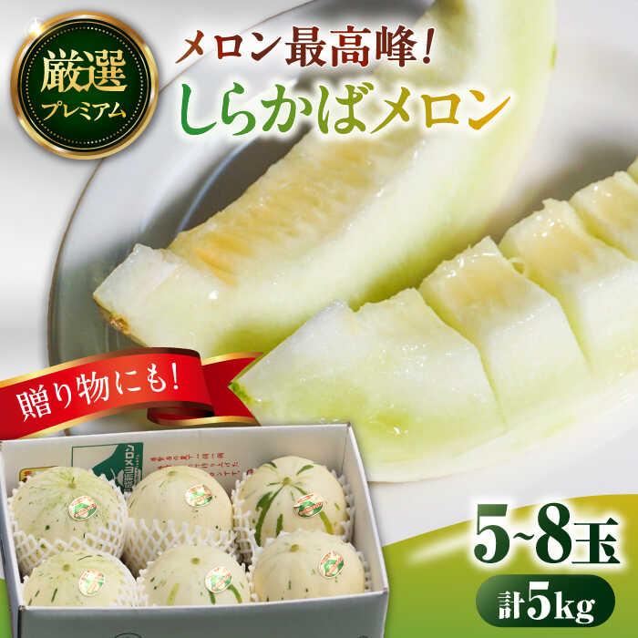 【2026年3月中旬〜発送】【平成新山メロンPREMIUM（とみちゃん厳選）】しらかばメロン 5玉〜8玉 約5kg / メロン めろん 青肉 糖度 果物 くだもの フルーツ ふるーつ 旬 高級 ギフト / 南島原市 / うえだメロン園 [SAD002]