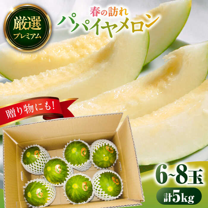 【2026年3月中旬〜発送】【平成新山メロンPREMIUM（とみちゃん厳選）】パパイヤメロン 6〜8玉 約5Kg / メロン めろん 青肉 糖度 果物 くだもの フルーツ ふるーつ 旬 高級 ギフト / 南島原市 / うえだメロン園 [SAD007]