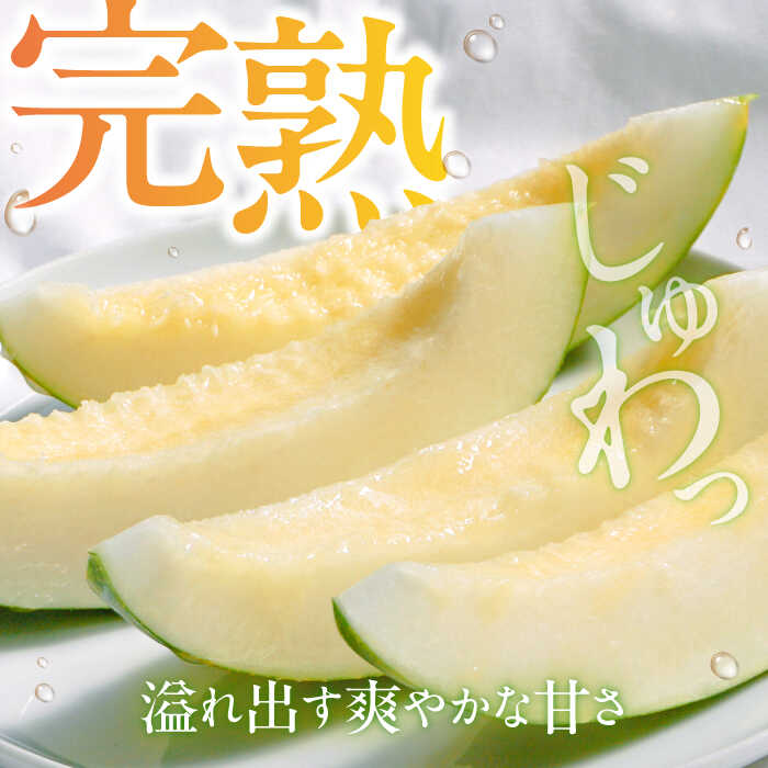 【ふるさと納税】【2026年3月中旬〜発送】パパイヤメロン 6〜8玉 約5kg / メロン めろん 果物 フルーツ / 南島原市 / うえだメロン園[SAD008] サムネイル2