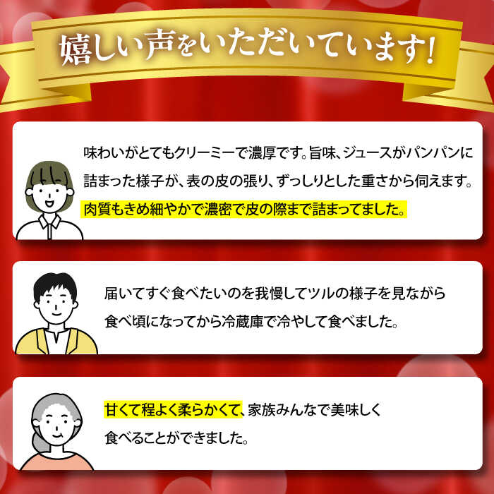 【ふるさと納税】【2026年3月中旬〜発送】パパイヤメロン 6〜8玉 約5kg / メロン めろん 果物 フルーツ / 南島原市 / うえだメロン園[SAD008] サムネイル3