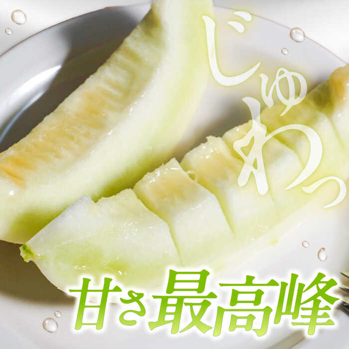 【ふるさと納税】【2026年3月下旬〜発送】しらかばメロン 5玉〜8玉 約5kg / メロン めろん 果物 フルーツ / 南島原市 / うえだメロン園[SAD009] サムネイル2