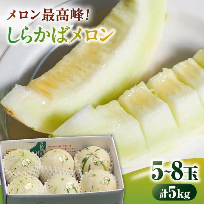 【2026年3月下旬〜発送】しらかばメロン 5玉〜8玉 約5kg / メロン めろん 果物 フルーツ / 南島原市 / うえだメロン園[SAD009]