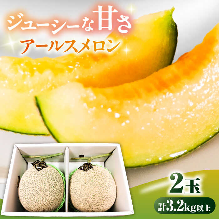 【2026年7月下旬〜発送】アールスメロン 2玉 約3.2kg / メロン めろん 果物 フルーツ / 南島原市 / うえだメロン園[SAD011]
