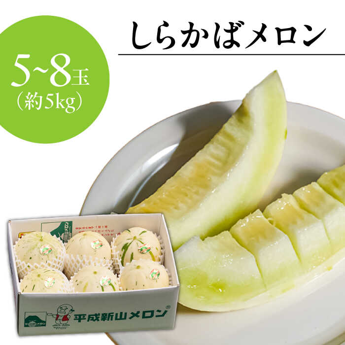 【ふるさと納税】【4回定期便】【2026年3月中旬〜発送】＜メロン食べ比べ＞平成新山メロンPREMIUM（とみちゃん厳選）パパイヤ しらかば グリーン アールス / メロン めろん 果物 フルーツ 青肉 / 南島原市 / うえだメロン園[SAD012] サムネイル3