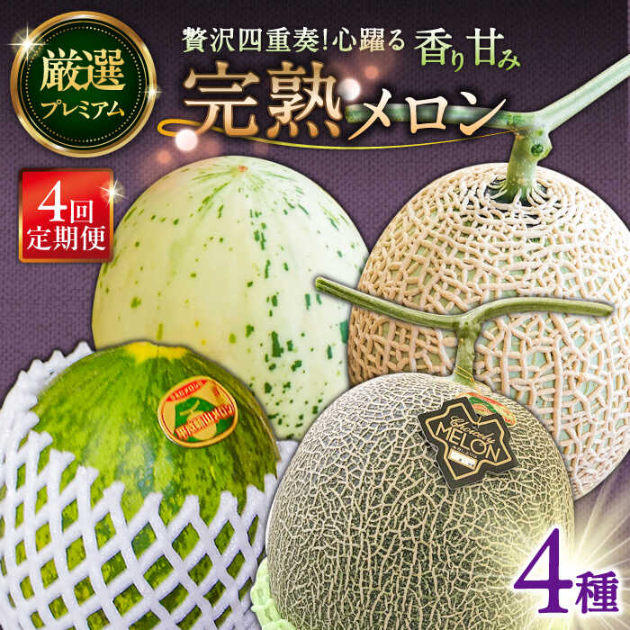 【4回定期便】【2026年3月中旬〜発送】＜メロン食べ比べ＞平成新山メロンPREMIUM（とみちゃん厳選）パパイヤ しらかば グリーン アールス / メロン めろん 果物 フルーツ 青肉 / 南島原市 / うえだメロン園[SAD012]