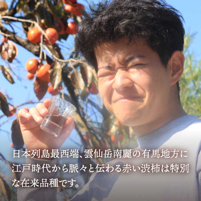 【ふるさと納税】【業界誌 (料理通信) お宝食材コンテスト ベスト20選出】天然 酵母 柿酢 200ml×1本 + 300ml×1本 / 6年熟成 柿 かき カキ お酢 酢 発酵食品 / 南島原市 / 中邨 [SAG001] サムネイル2