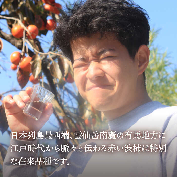 【ふるさと納税】【業界誌 (料理通信) お宝食材コンテスト ベスト20選出】天然 酵母 柿酢 300ml×3本 / 6年熟成 柿 かき カキ お酢 酢 発酵食品 / 南島原市 / 中邨 [SAG004] サムネイル2