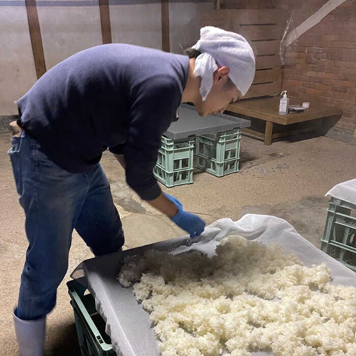 【ふるさと納税】＜スピード配送＞【リピーターの多い人気の逸品】日本酒 普賢の夢 特別純米・はねぎ搾り萬勝 純米吟醸 各720ml / 日本酒 にほんしゅ 酒 お酒 おさけ お試し 晩酌 日本酒 飲み比べ / 南島原市 / 酒蔵吉田屋 [SAI002] サムネイル3