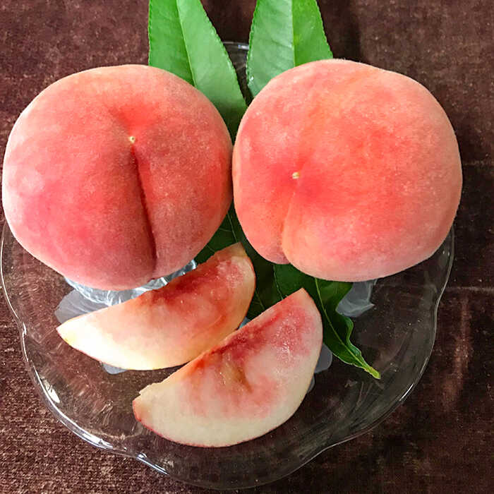 【ふるさと納税】【2026年6月〜発送】どちらが届くかはお楽しみ！温室桃 約1kg / 日川白鳳 or ももか / 桃 もも フルーツ 果物 / 南島原市 / 川田農園 [SAP002] サムネイル2