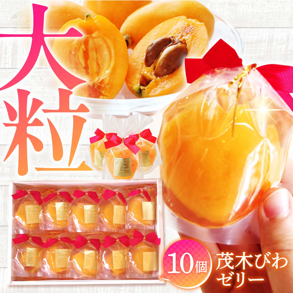 【2026年5月上旬〜発送】【夏季限定】茂木びわ ゼリー 10個入 / びわゼリー ゼリー ぜりー びわ ビワ 枇杷 びわぜりー スイーツ 果物 果物ゼリー ぜりー / 南島原市 / 本田屋かすてら本舗 [SAW040]