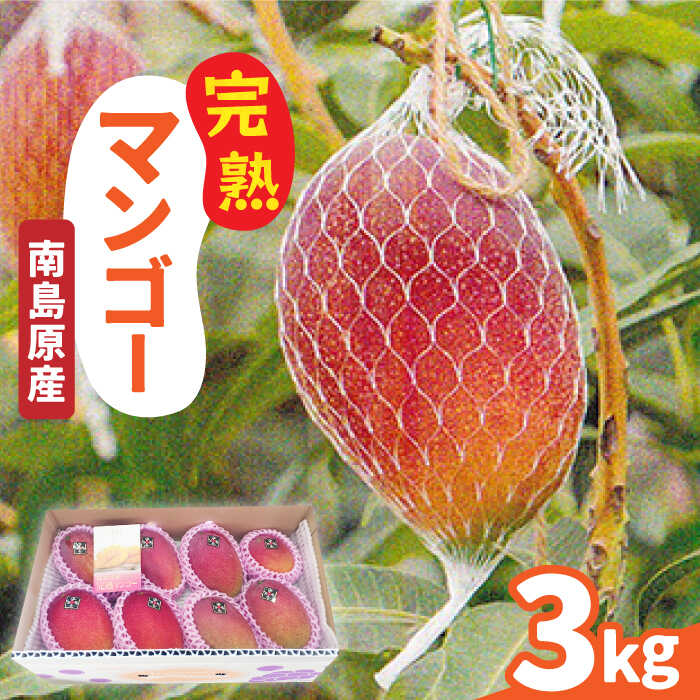【2026年7月〜発送】南島原産 完熟マンゴー 3kg / マンゴー まんごー フルーツ 果物 完熟 期間限定 / 南島原市 / 松川農園 [SAX003]