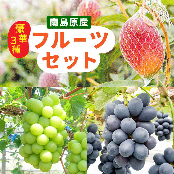【2回定期便】【2026年7月〜発送】マンゴー ＆ シャインマスカット ＆ ぶどう の豪華セット / フルーツ 果物 ブドウ 葡萄 国産 定期便 フルーツ定期便 / 南島原市 / 松川農園 [SAX004]
