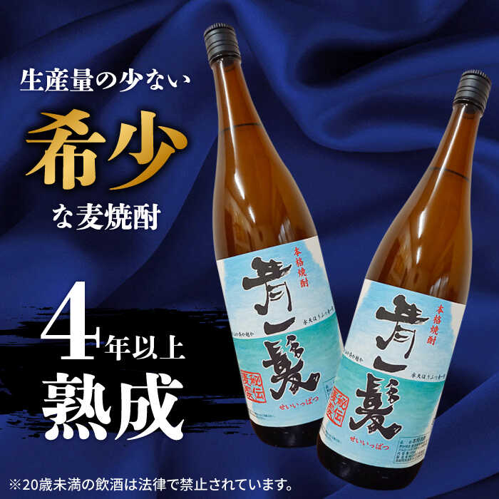 【ふるさと納税】本格麦焼酎 青一髪 25° 1.8L×2本 / 焼酎 麦焼酎 酒 お酒 アルコール おさけ ギフト プレゼント 贈り物 / 南島原市 / 久保酒造場 [SAY006] サムネイル2