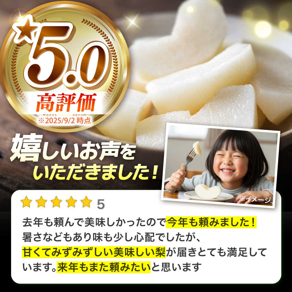 【ふるさと納税】【2026年9月中旬～発送】シャリッと食感がたまらない！新高梨 5kg (玉数おまかせ) / 梨 なし くだもの 果物 フルーツ 常温 ギフト プレゼント 贈り物 / 南島原市 / ふるさと企画 [SBA012] サムネイル2