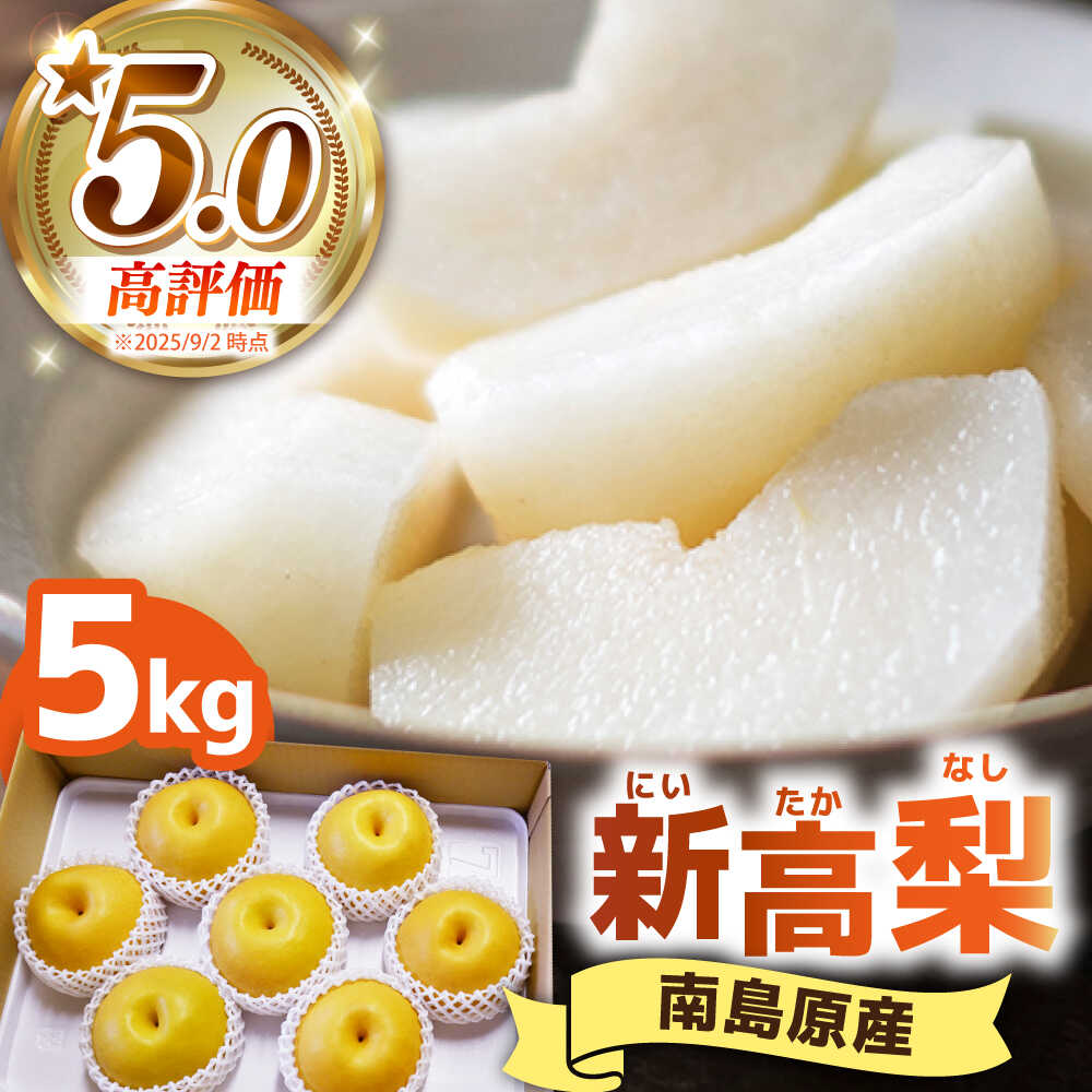 【2026年9月中旬～発送】シャリッと食感がたまらない！新高梨 5kg (玉数おまかせ) / 梨 なし くだもの 果物 フルーツ 常温 ギフト プレゼント 贈り物 / 南島原市 / ふるさと企画 [SBA012]