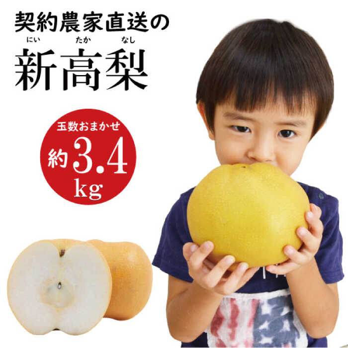 【2026年9月中旬～発送】【シャリッとおいしい！】新高梨 約3.4kg / 梨 なし くだもの 果物 フルーツ 常温 ギフト プレゼント 贈り物 / 南島原市 / ふるさと企画 [SBA030]