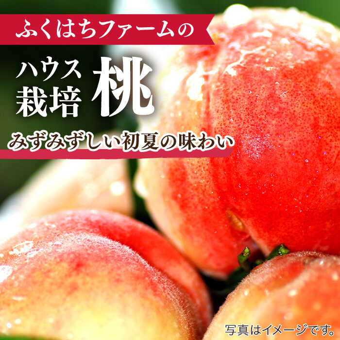 【ふるさと納税】【2026年5月下旬～発送】桃 特別栽培ハウスもも 約1kg 化粧箱入り / 桃 もも モモ フルーツ 果物 旬 / 南島原市 / ふくはちファーム [SBS005] サムネイル2