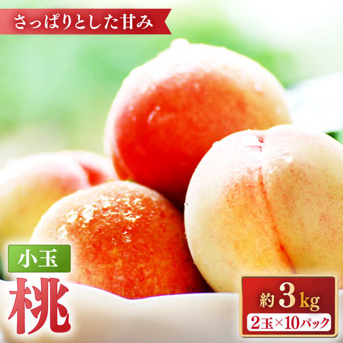 【2026年5月下旬～発送】桃 特別栽培 小玉 ハウスもも（Mサイズ：10パック） / 桃 もも モモ フルーツ 果物 旬 / 南島原市 / ふくはちファーム/福島農園 [SBS008]