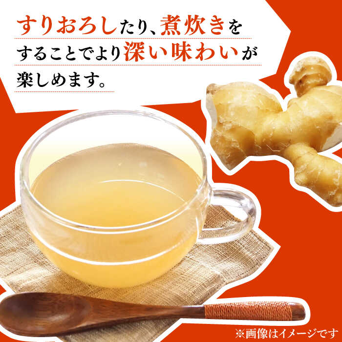 【ふるさと納税】【2026年1月末〜順次発送】囲い生姜 約 3kg / ショウガ 南島原市 / ふくはちファーム/福島農園 [SBS011] - 画像2