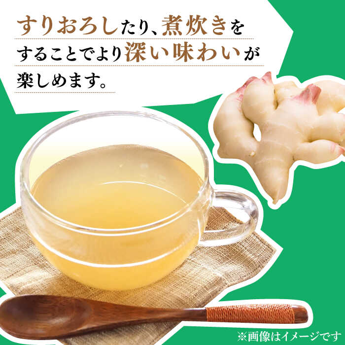 【ふるさと納税】【2026年8月〜発送】新生姜 約6kg / ショウガ しょうが 生姜 / 南島原市 / ふくはちファーム / 福島農園 [SBS020] - 画像3