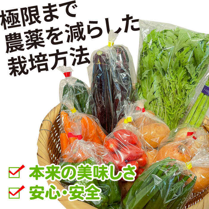 【ふるさと納税】【12回定期便】直売所より発送！季節の野菜セット 7〜10品目 / 野菜定期便 やさい定期便 野菜 やさい 旬 詰め合わせ / 南島原市 / ながさき南部生産組合 [SBW005] - 画像2