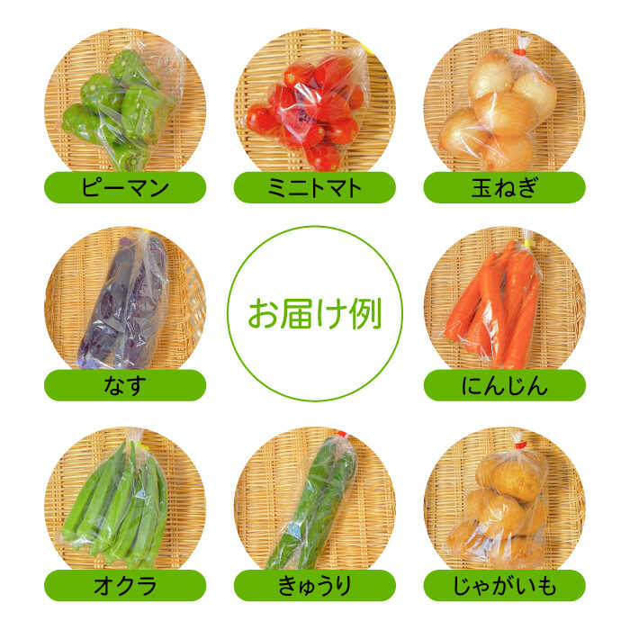 【ふるさと納税】【12回定期便】直売所より発送！季節の野菜セット 7〜10品目 / 野菜定期便 やさい定期便 野菜 やさい 旬 詰め合わせ / 南島原市 / ながさき南部生産組合 [SBW005] - 画像3