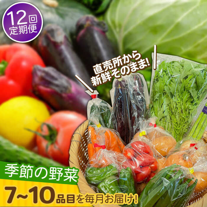 【12回定期便】直売所より発送！季節の野菜セット 7〜10品目 / 野菜定期便 やさい定期便 野菜 やさい 旬 詰め合わせ / 南島原市 / ながさき南部生産組合 [SBW005]