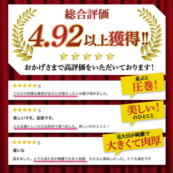 【ふるさと納税】【一度食べたら忘れられない】九州で唯一！ 希少な肉厚生椎茸 秀品15枚セット / 生しいたけ 生シイタケ きのこ キノコ 茸 / 南島原市 / サンエスファーム [SBX001] サムネイル3