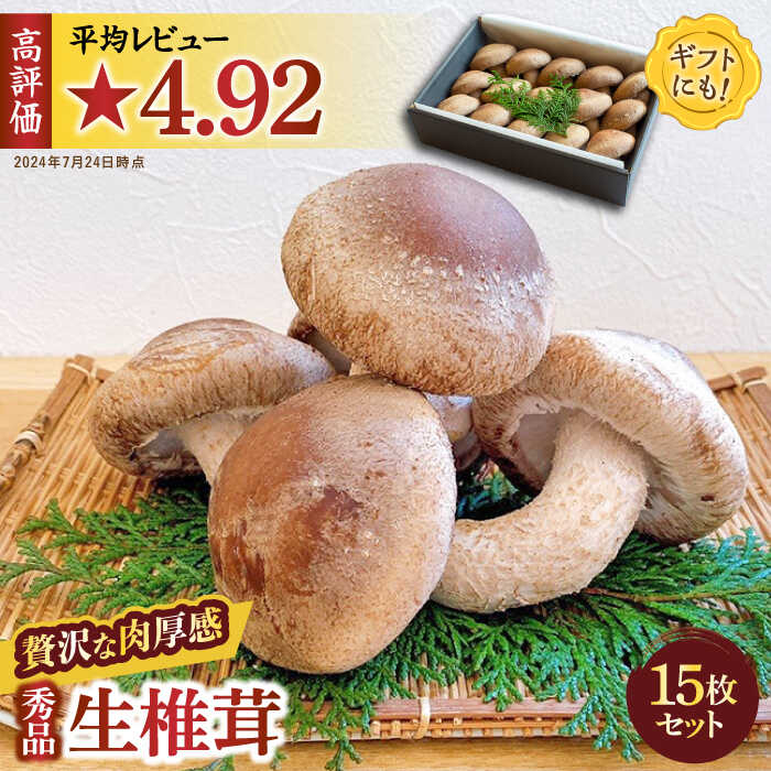 【一度食べたら忘れられない】九州で唯一！ 希少な肉厚生椎茸 秀品15枚セット / 生しいたけ 生シイタケ きのこ キノコ 茸 / 南島原市 / サンエスファーム [SBX001]