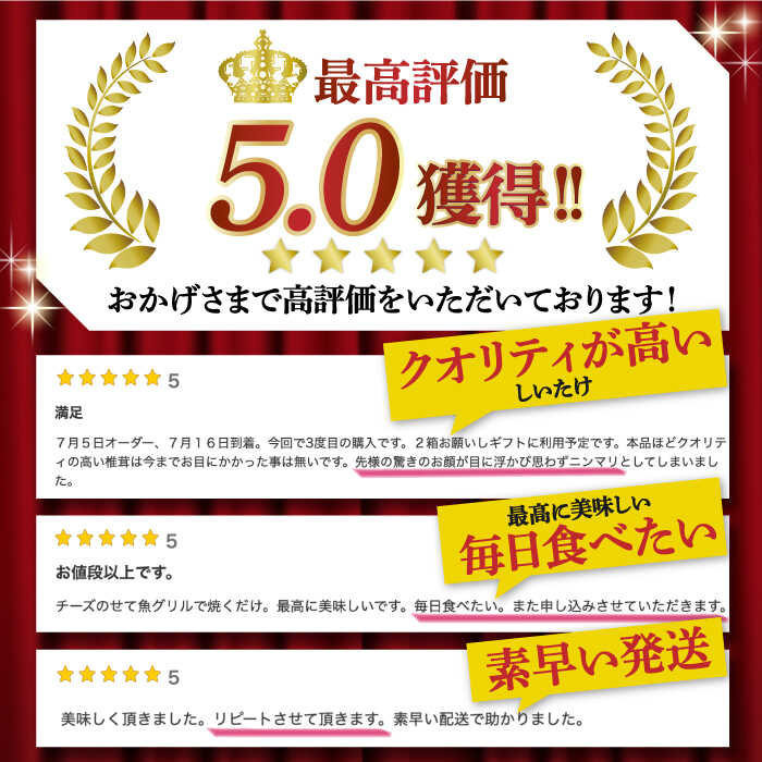 【ふるさと納税】【一度食べたら忘れられない】九州で唯一！ 希少な生椎茸 【優品】15枚セット / しいたけ 椎茸 生しいたけ 生シイタケ きのこ キノコ 茸 / 南島原市 / サンエスファーム [SBX003] サムネイル3