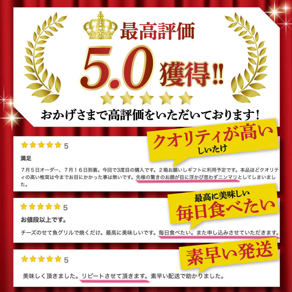 【ふるさと納税】【一度食べたら忘れられない】九州で唯一！ 希少な生椎茸 【優品】15枚セット / しいたけ 椎茸 生しいたけ 生シイタケ きのこ キノコ 茸 / 南島原市 / サンエスファーム [SBX003] - 画像3