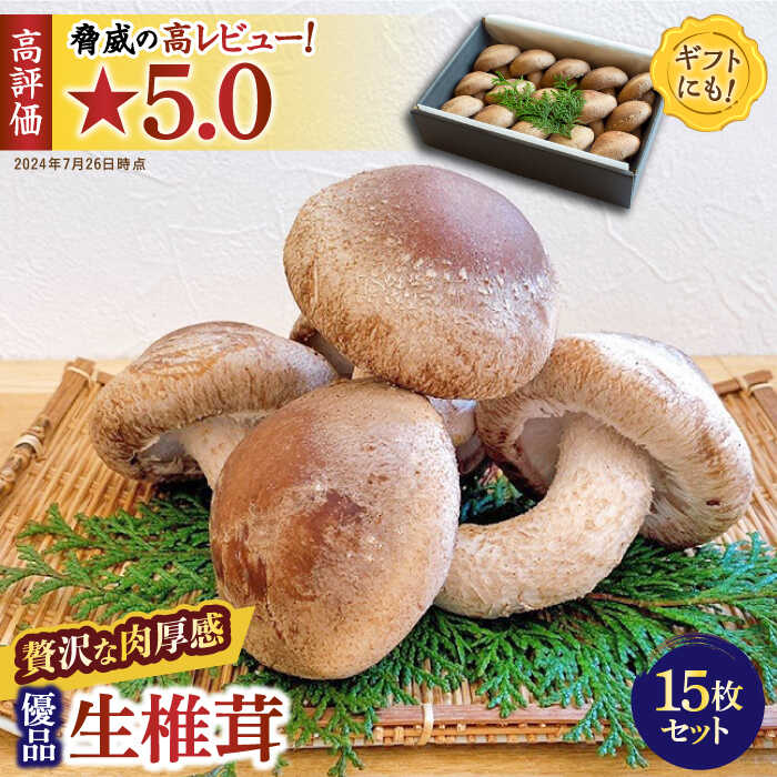 【一度食べたら忘れられない】九州で唯一！ 希少な生椎茸 【優品】15枚セット / しいたけ 椎茸 生しいたけ 生シイタケ きのこ キノコ 茸 / 南島原市 / サンエスファーム [SBX003]