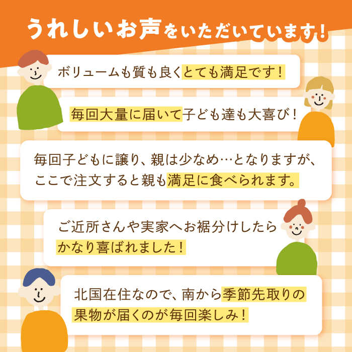 【ふるさと納税】【6回定期便】旬の果物をお任せで6回お届け ＜みかん ぶどう びわ すいか 梨 いちご メロン キウイ ＞ / フルーツ ふるーつ 果物 くだもの 詰め合わせ 定期便 フルーツ定期便 果物定期便 / 南島原市 / 長崎県農産品流通合同会社 [SCB010] サムネイル2