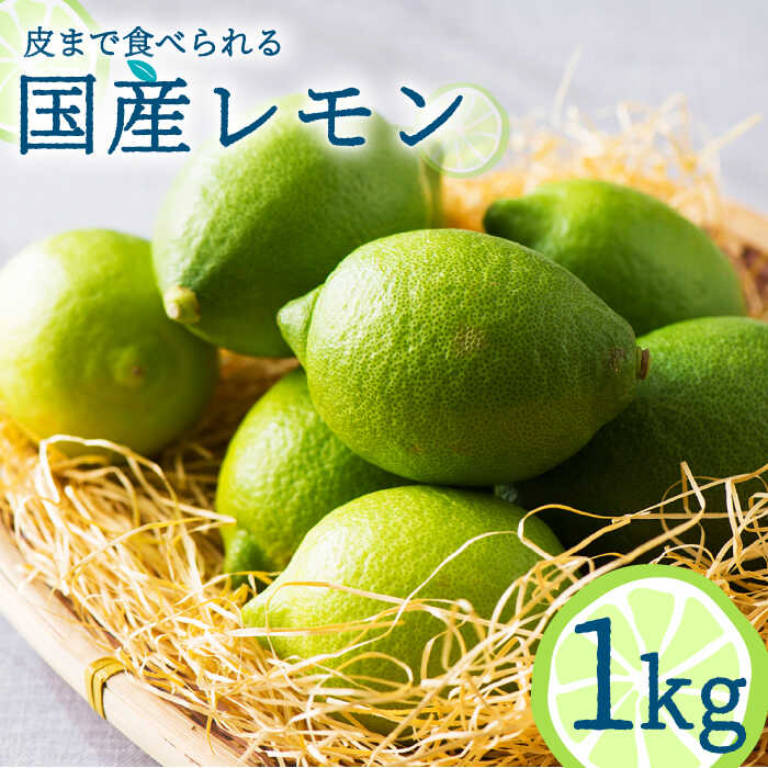 【2025年10月〜発送】国産レモン 1kg / レモン れもん 檸檬 国産 ユーレカ 果物 フルーツ 柑橘 / 南島原市 / 長崎県農産品流通合同会社 [SCB016]