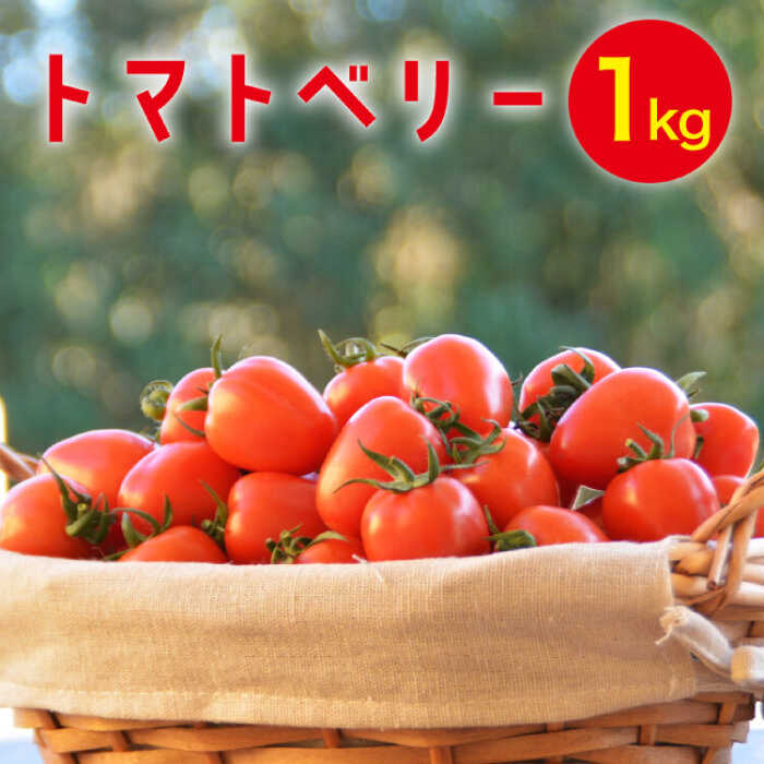 【2025年12月〜発送】トマトベリー 1kg / ミニトマト トマト トマトベリー とまと 野菜 サラダ プチトマト 野菜 産地直送 予約 1kg 送料無料 / 南島原市 / 長崎県農産品流通合同会社 [SCB029]